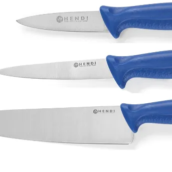 Messer mit blauem Griff für die Verarbeitung von Fisch in der Gastronomie